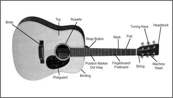 acoustic guitar parts. Acoustic Guitar Diagram.